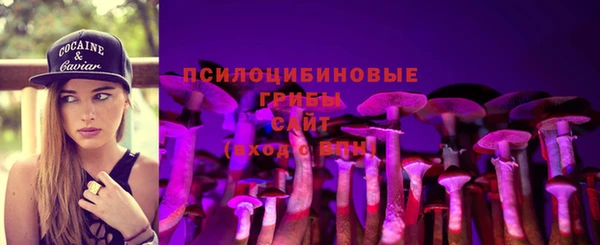 стафф Абинск
