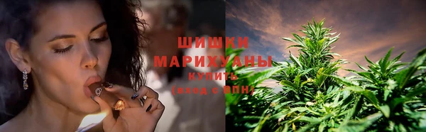 PSILOCYBIN Алексин