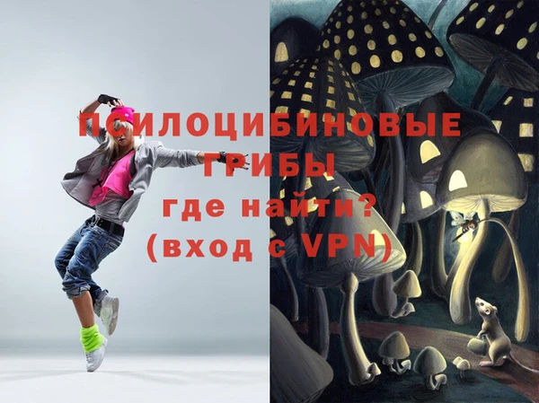 эйфоретик Алзамай