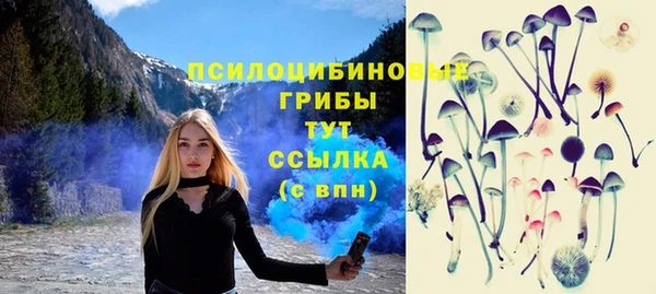 эйфоретик Алзамай