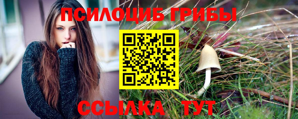 Псилоцибиновые грибы Magic Shrooms Карасук